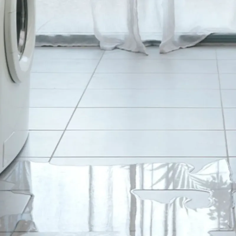Appliance Leak Cleanup in Mount Shasta, CA