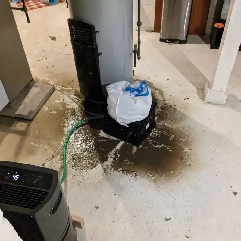 Sewage Backup Cleanup Service in Mount Shasta, CA